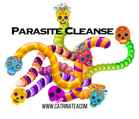 Parasite Cleanse Herbal Tea
